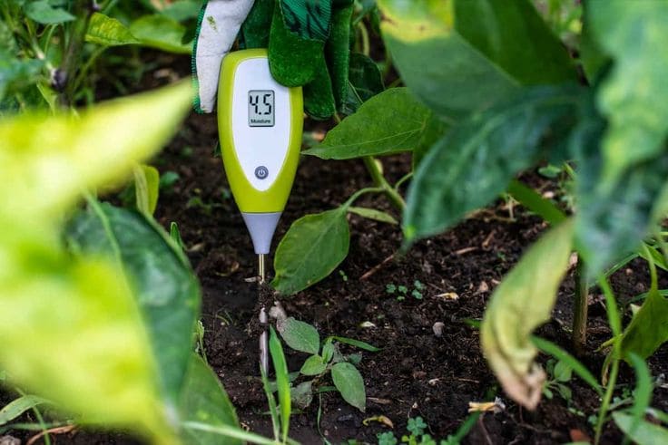 Soil Moisture